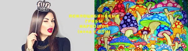 spice Алексеевка