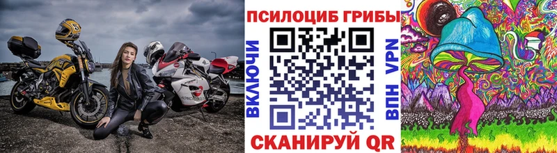 Псилоцибиновые грибы ЛСД  Северская 